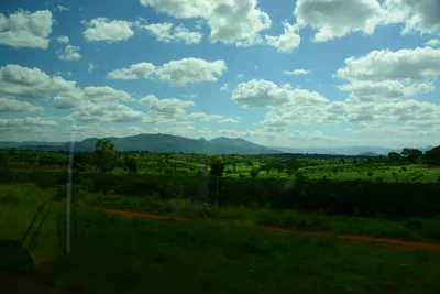 DSC_9670 (Large).JPG